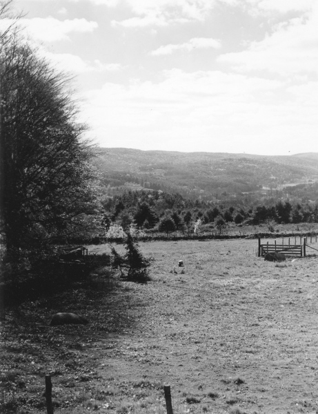 20-Cornwall-print-024