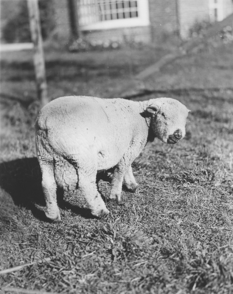 27-Cornwall-print-019