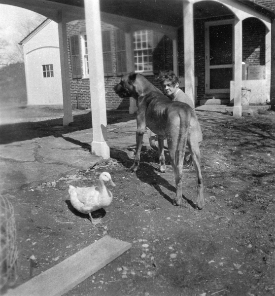 33-Cornwall-4-print-3