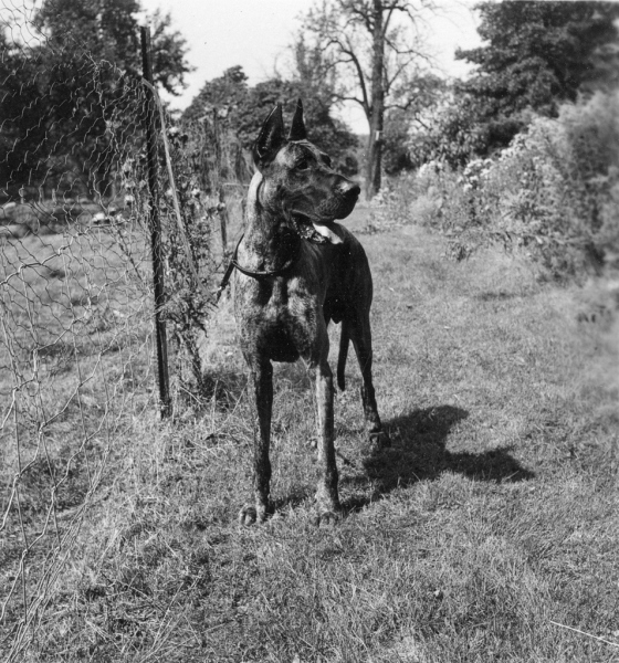 35-Cornwall-1-print-2