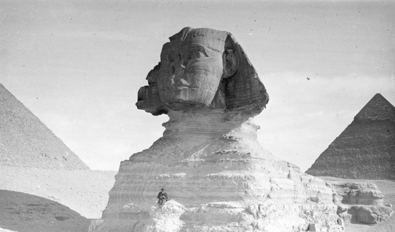 Sphynx with Garnett & Nancy Perched on Front