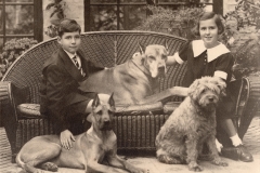 01-Lee-Peter-and-Dogs