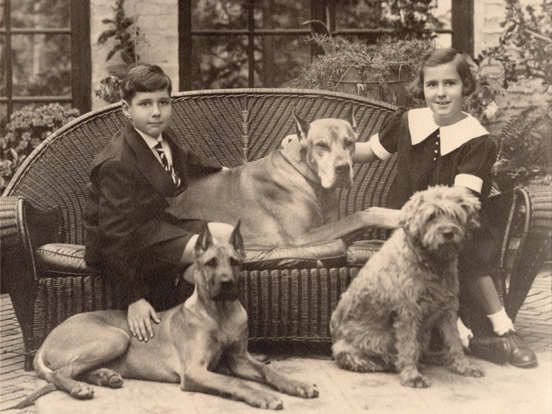 01-Lee-Peter-and-Dogs