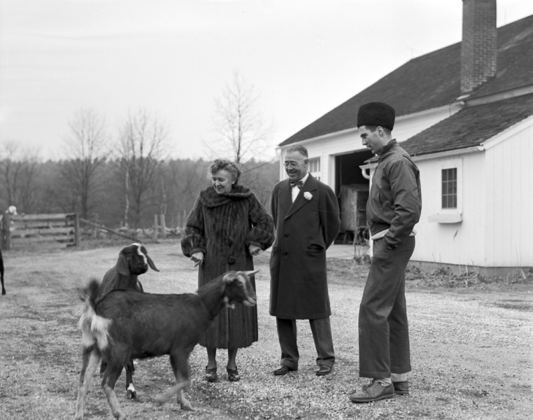 some guy from cornwall see other pics