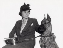 #9376 - ch 'Olga of Brae Tarn' Best in breed - Grate Dane. Westminster K.C. 67th Annual Dog Show. New York City - Feb 11-12, 1943.
