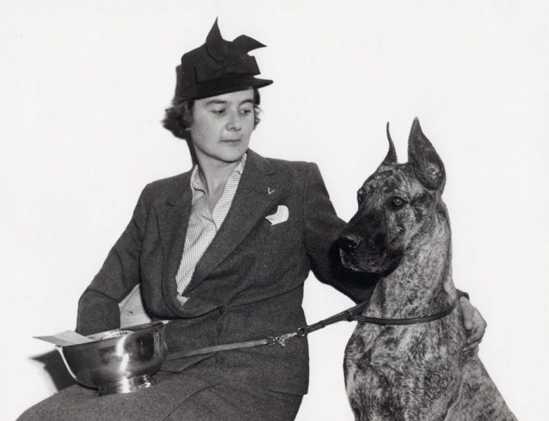 #9376 - ch 'Olga of Brae Tarn' Best in breed - Grate Dane. Westminster K.C. 67th Annual Dog Show. New York City - Feb 11-12, 1943.