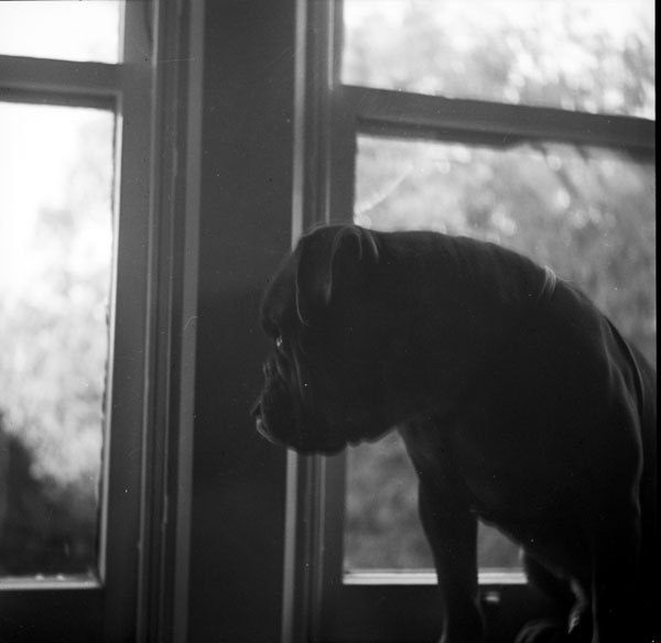 11-Don-Gillespie-23-neg-7