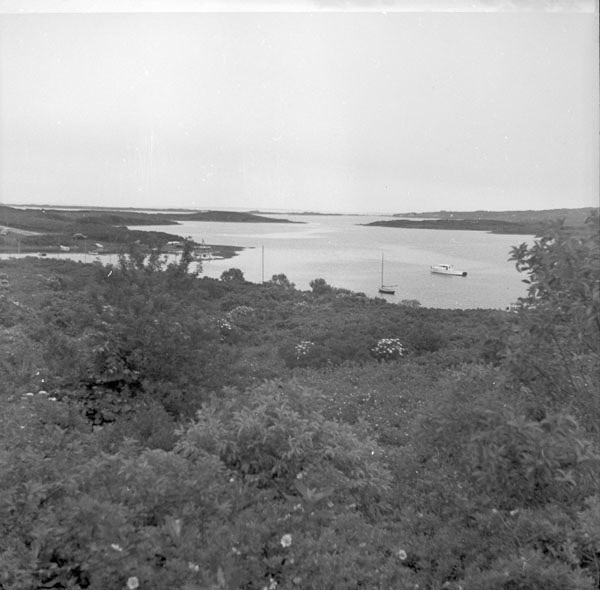 16-Don-Gillespie-19-neg-135