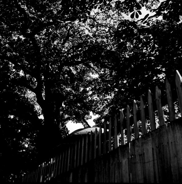 17-Don-Gillespie-16-neg-51