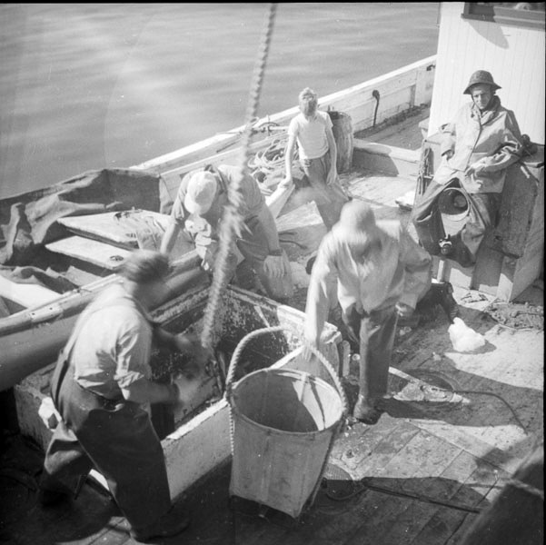 23-Don-Gillespie-13-neg-11