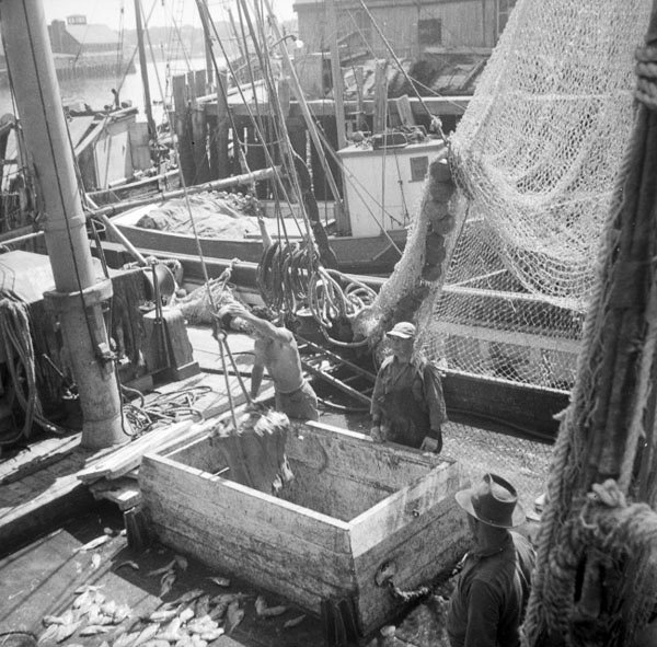 24-Don-Gillespie-14-neg-07