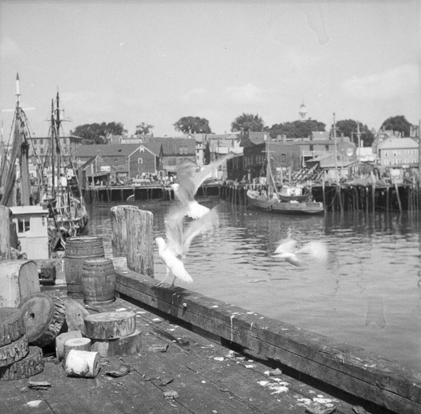 25-Don-Gillespie-14-neg-08