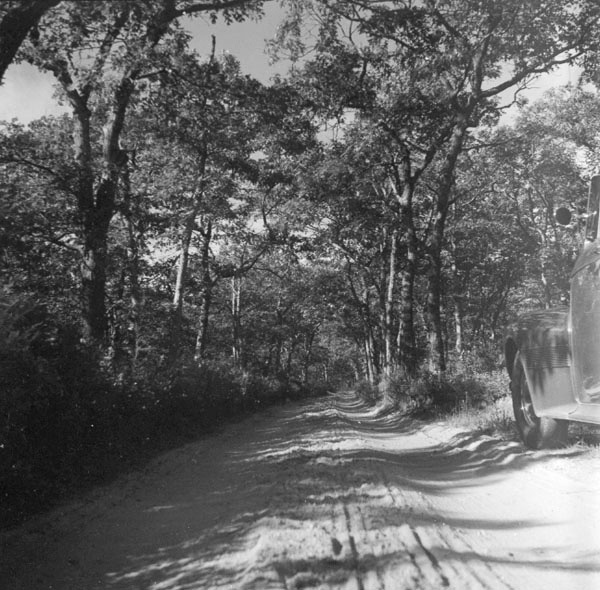 32-Don-Gillespie-18-neg-1