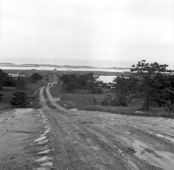 38-Don-Gillespie-19-neg-139