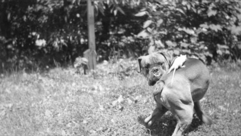 17-4135508966_205704cd86_o