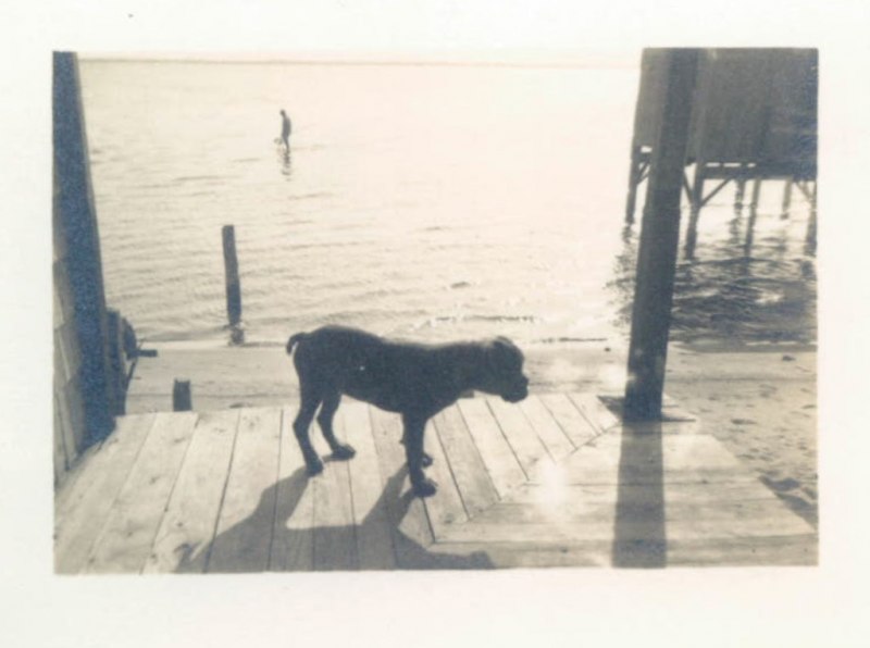 18-4135509404_58eb647f54_o