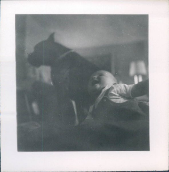 04-4134330995_d270bdf158_o