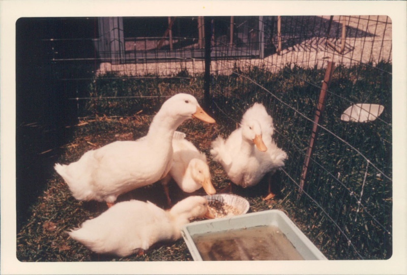 28-4134350189_7677573a6c_o