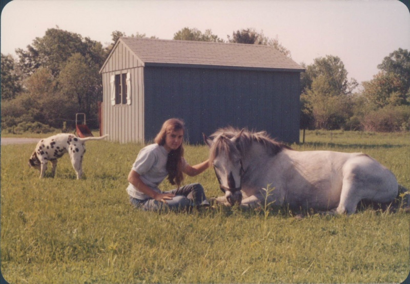 62-4135109168_a367cb66bf_o