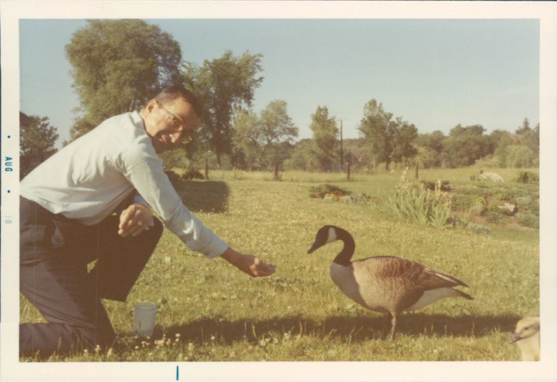 72-4135113694_623fe0868f_o