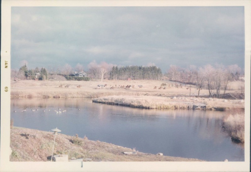 73-4135114190_77765f5c5e_o