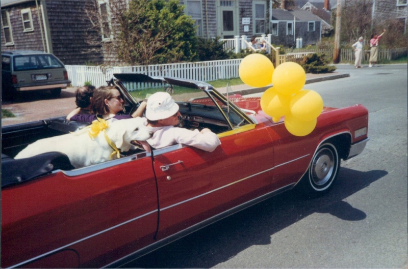 53-4135150312_bd9c337321_o