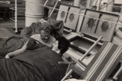 19-4131863170_c11fb5e4a2_o