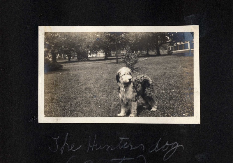 The Hunter's Dog
